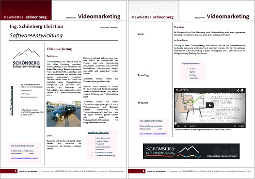 Ebook videomarketing