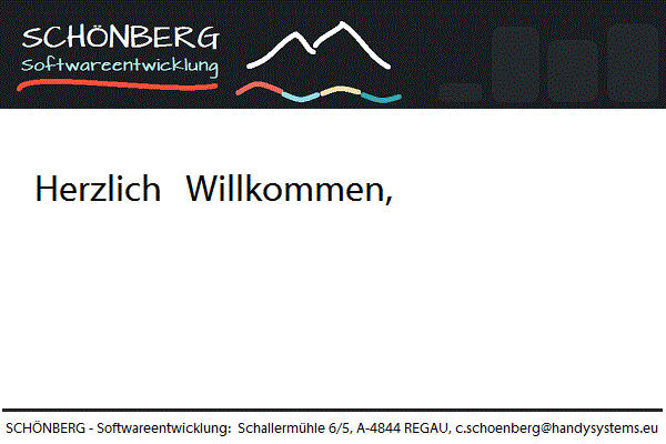 Schoenberg - Programmierauftrag, Programmierer - Video Sales Letter